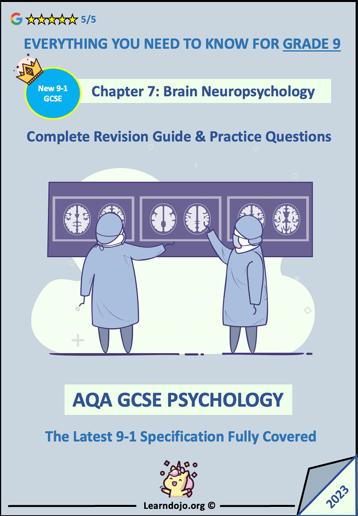 AQA GCSE Psychology Brain and Neuropsychology Revision